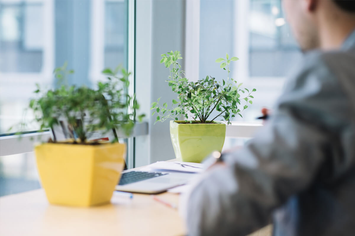 辦公室裝修 | 快速裝修 | 輕裝修 | 裝修及傢俬定制 | Office Design | 中小企初創企業首選 | 明碼實價